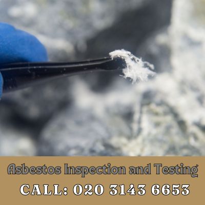 Comprehensive Asbestos Inspection and Testing Services in Clapham Junction